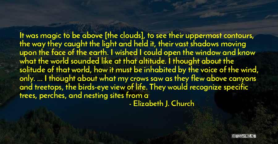 Trees And Clouds Quotes By Elizabeth J. Church