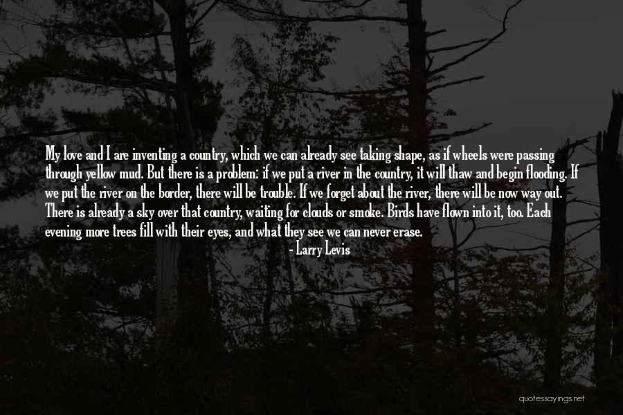 Trees And Clouds Quotes By Larry Levis