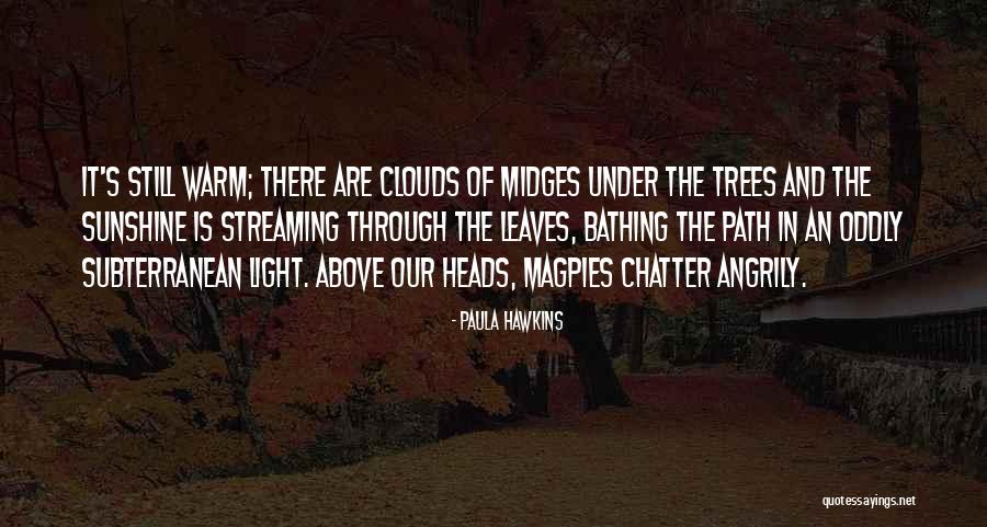 Trees And Clouds Quotes By Paula Hawkins