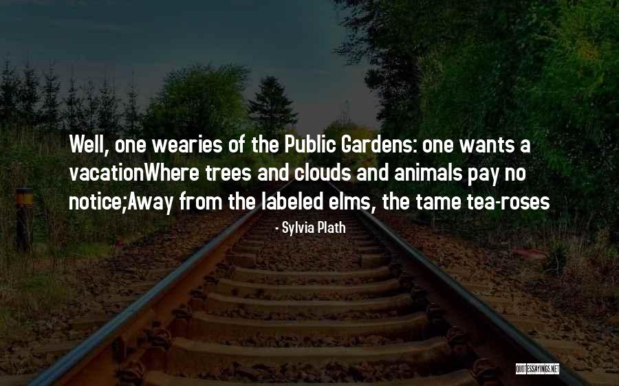 Trees And Clouds Quotes By Sylvia Plath Trees And Clouds Quotes By Sylvia Plath