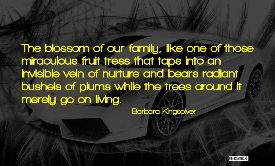 Trees And Family Quotes By Barbara Kingsolver