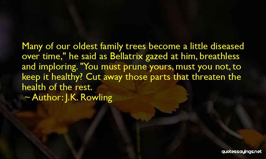 Trees And Family Quotes By J.K. Rowling