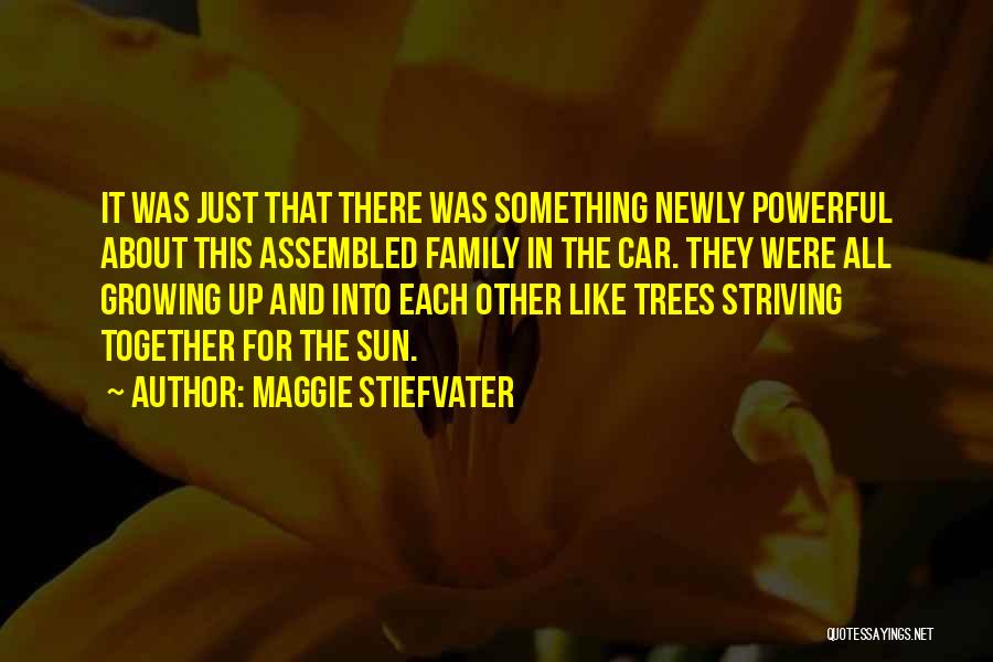 Trees And Family Quotes By Maggie Stiefvater