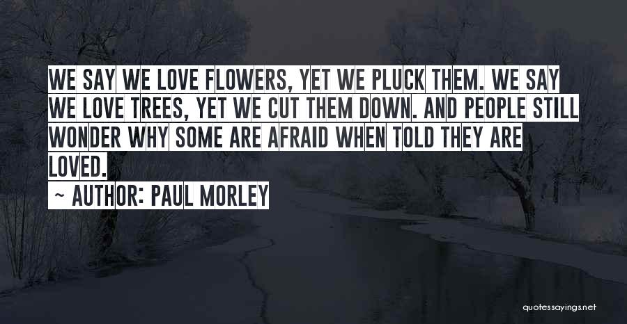 Trees And Flowers Quotes By Paul Morley