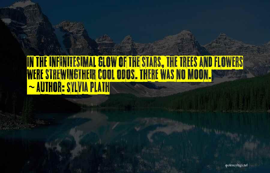 Trees And Flowers Quotes By Sylvia Plath