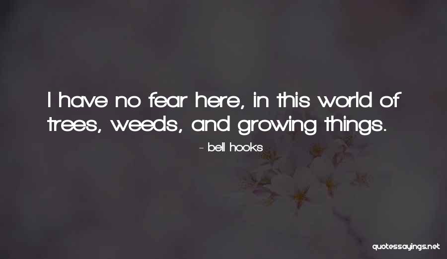 Trees And Growing Quotes By Bell Hooks Trees And Growing Quotes By Bell Hooks