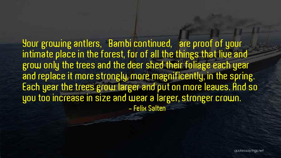 Trees And Growing Quotes By Felix Salten Trees And Growing Quotes By Felix Salten