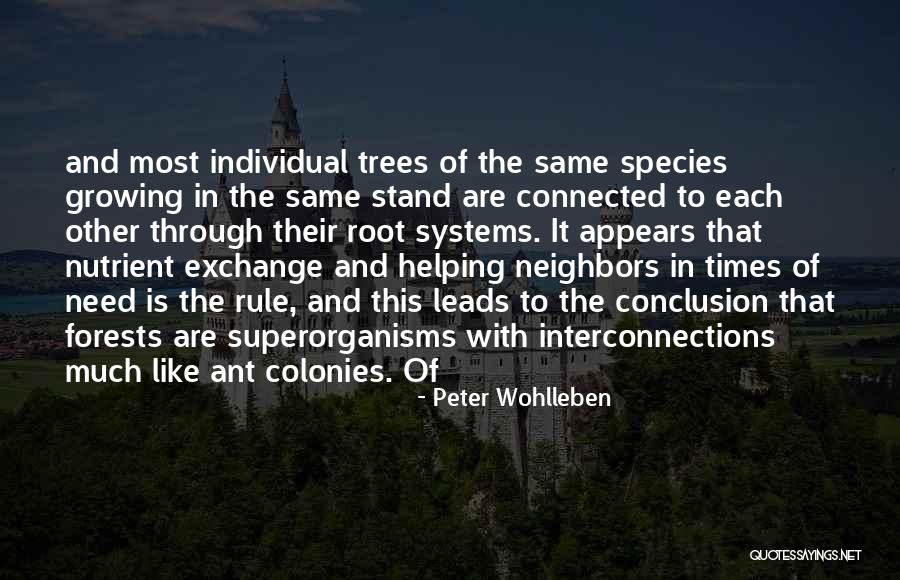 Trees And Growing Quotes By Peter Wohlleben Trees And Growing Quotes By Peter Wohlleben