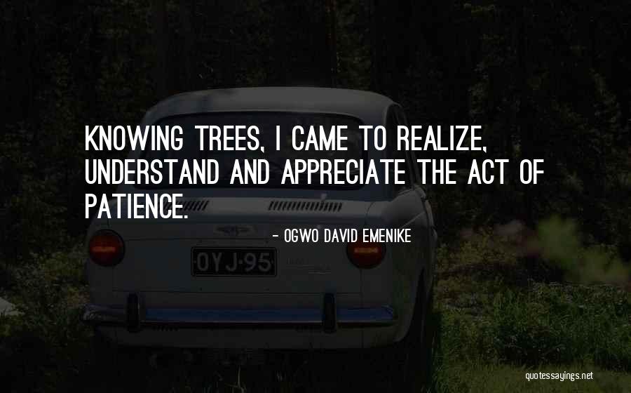 Trees And Knowledge Quotes By Ogwo David Emenike Trees And Knowledge Quotes By Ogwo David Emenike