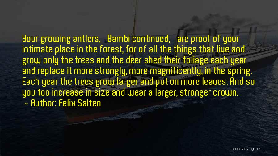 Trees And Leaves Quotes By Felix Salten