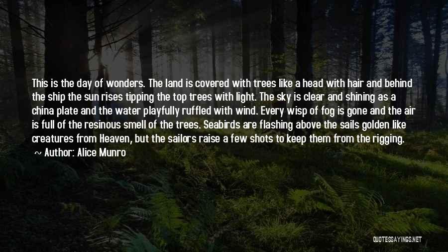 Trees And Light Quotes By Alice Munro