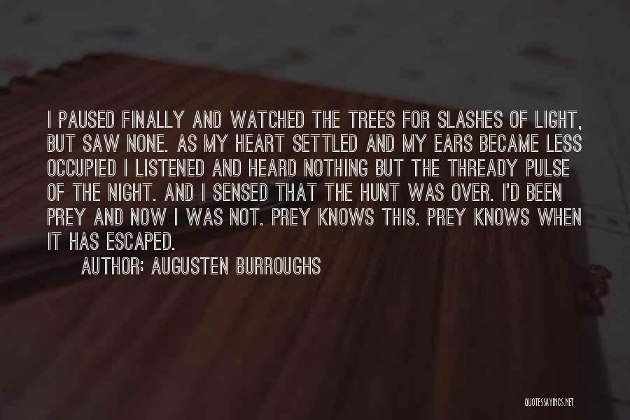 Trees And Light Quotes By Augusten Burroughs