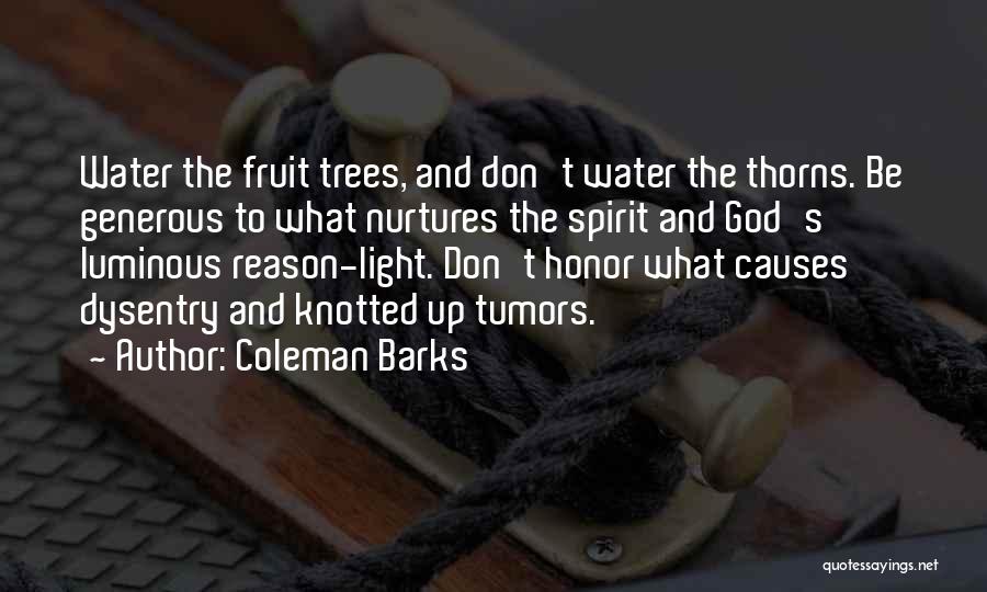 Trees And Light Quotes By Coleman Barks