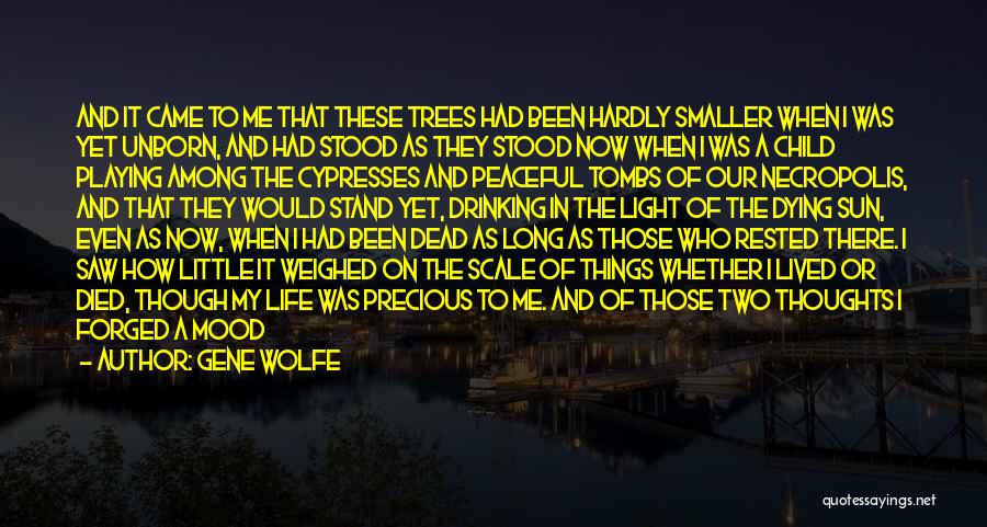 Trees And Light Quotes By Gene Wolfe