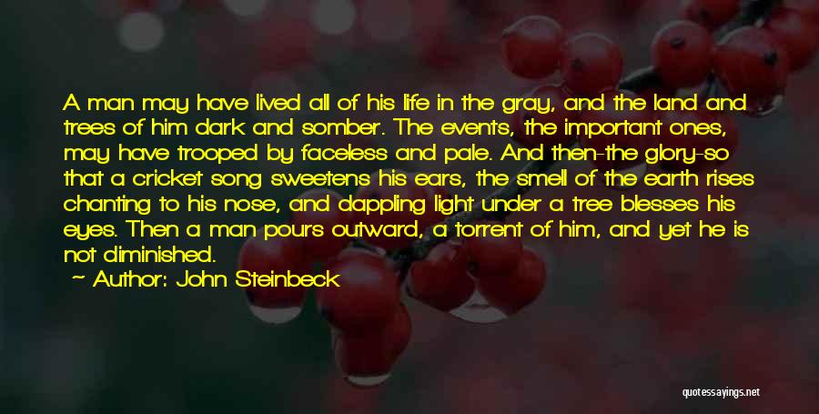 Trees And Light Quotes By John Steinbeck