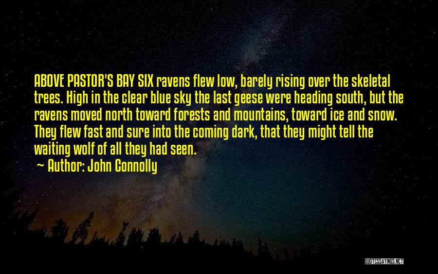 Trees And Mountains Quotes By John Connolly