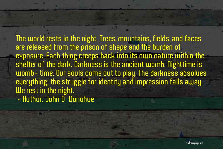 Trees And Mountains Quotes By John O'Donohue