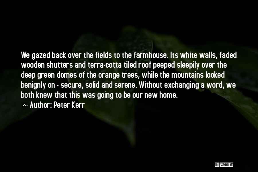 Trees And Mountains Quotes By Peter Kerr
