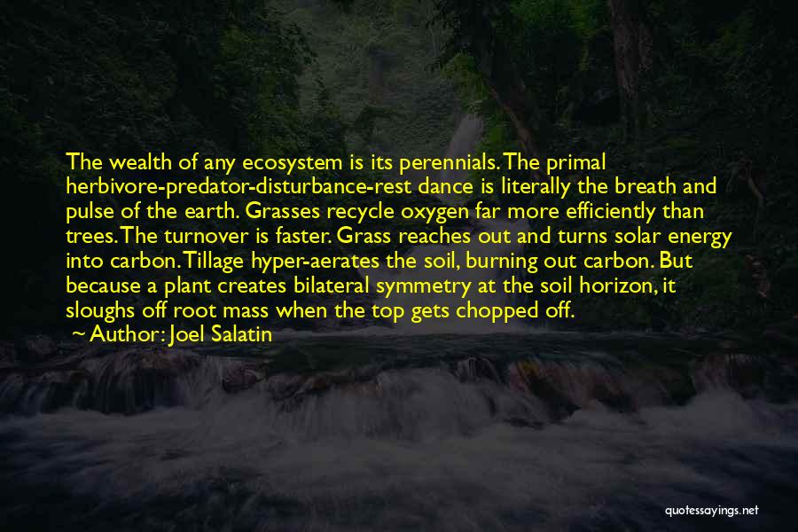 Trees And Oxygen Quotes By Joel Salatin