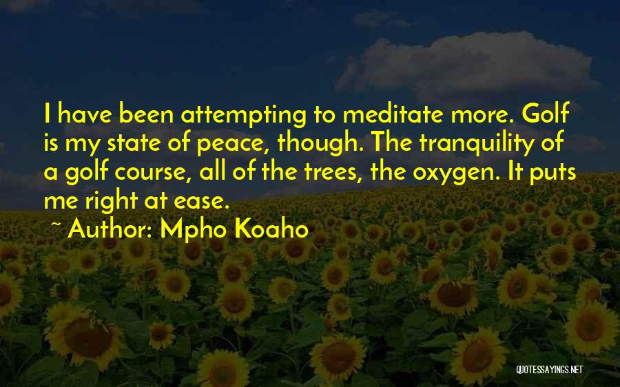 Trees And Oxygen Quotes By Mpho Koaho