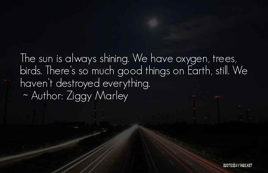 Trees And Oxygen Quotes By Ziggy Marley