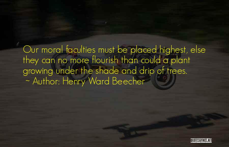 Trees And Plants Quotes By Henry Ward Beecher