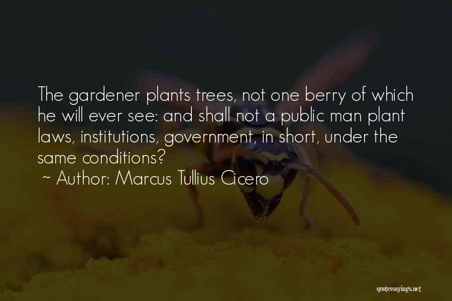 Trees And Plants Quotes By Marcus Tullius Cicero