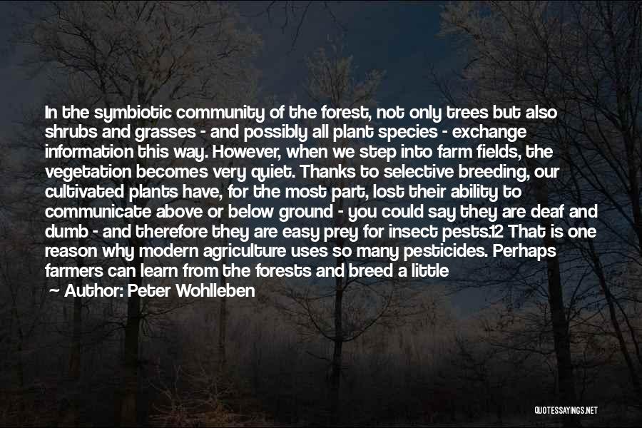Trees And Plants Quotes By Peter Wohlleben