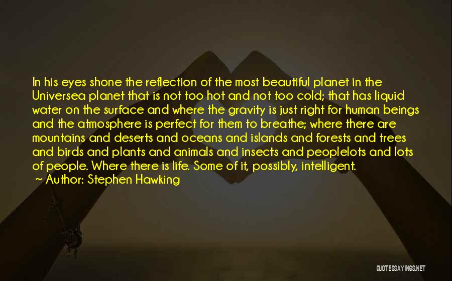 Trees And Plants Quotes By Stephen Hawking