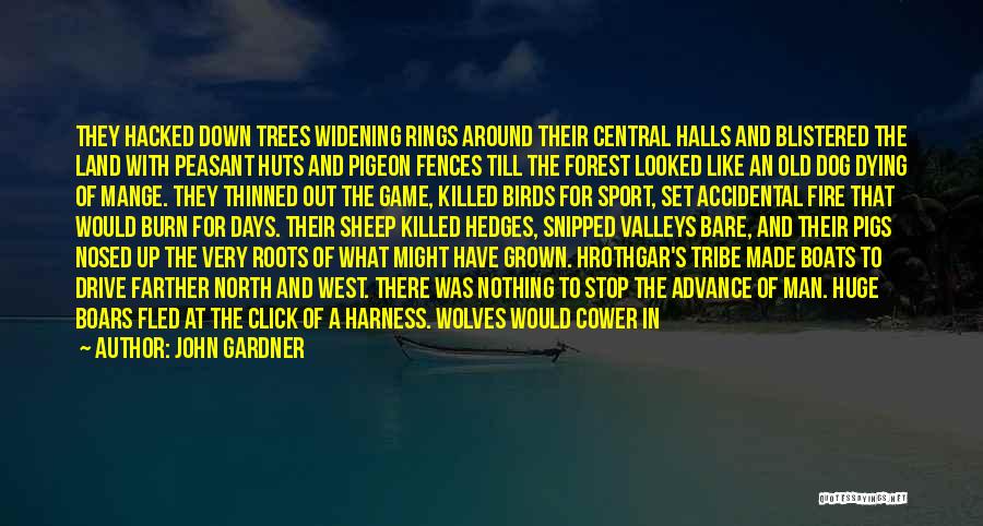 Trees And Roots Quotes By John Gardner