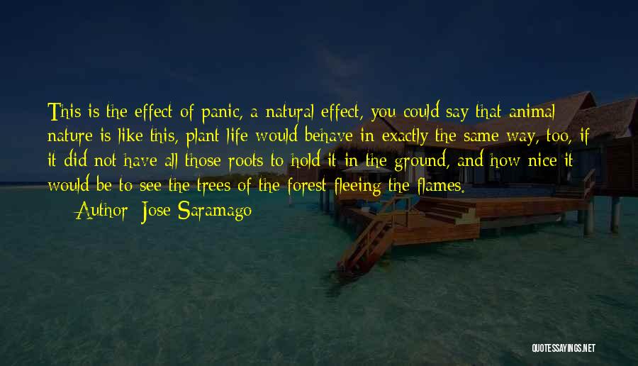 Trees And Roots Quotes By Jose Saramago
