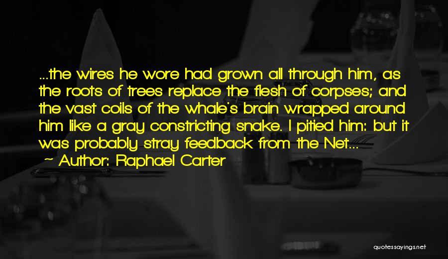 Trees And Roots Quotes By Raphael Carter