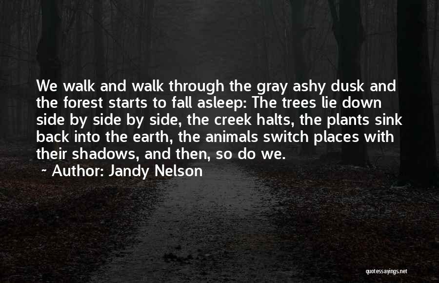 Trees And Shadows Quotes By Jandy Nelson