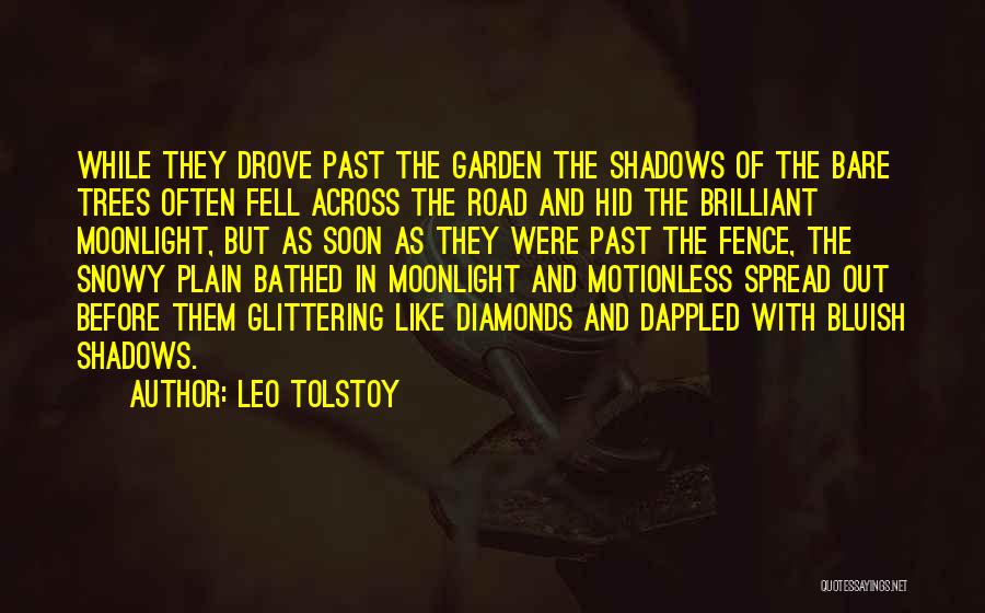 Trees And Shadows Quotes By Leo Tolstoy