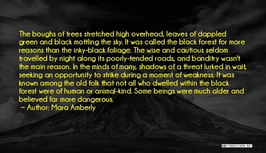 Trees And Shadows Quotes By Mara Amberly