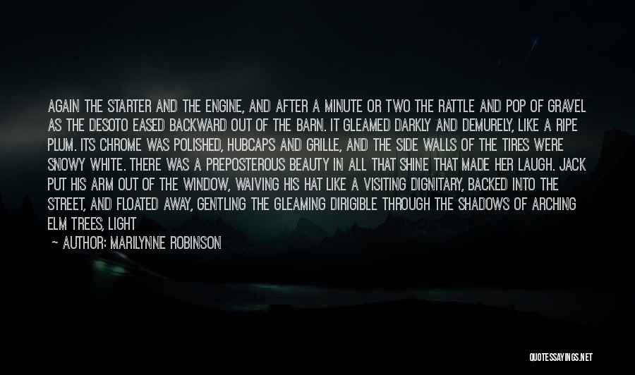 Trees And Shadows Quotes By Marilynne Robinson