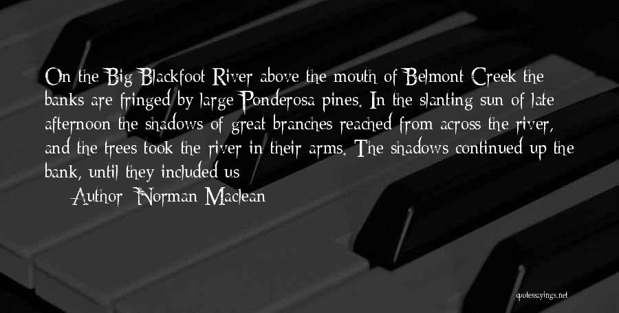 Trees And Shadows Quotes By Norman Maclean