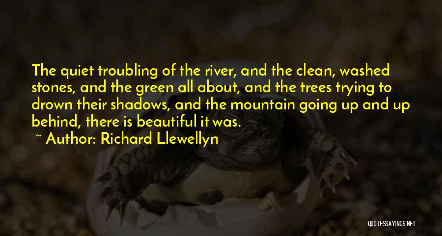 Trees And Shadows Quotes By Richard Llewellyn