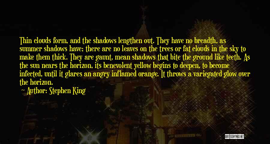Trees And Shadows Quotes By Stephen King