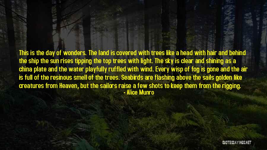 Trees And Sun Quotes By Alice Munro Trees And Sun Quotes By Alice Munro