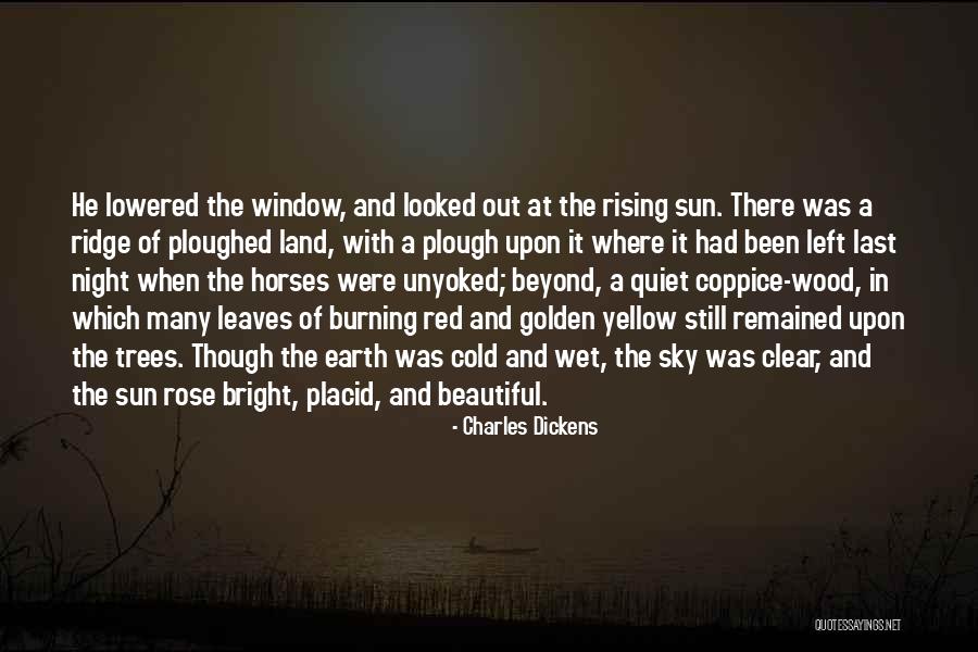 Trees And Sun Quotes By Charles Dickens Trees And Sun Quotes By Charles Dickens