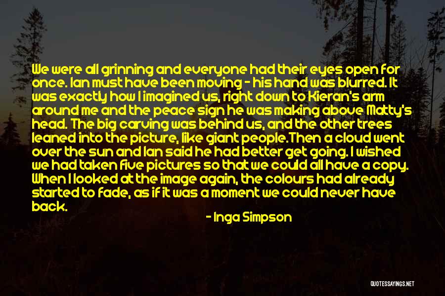 Trees And Sun Quotes By Inga Simpson Trees And Sun Quotes By Inga Simpson