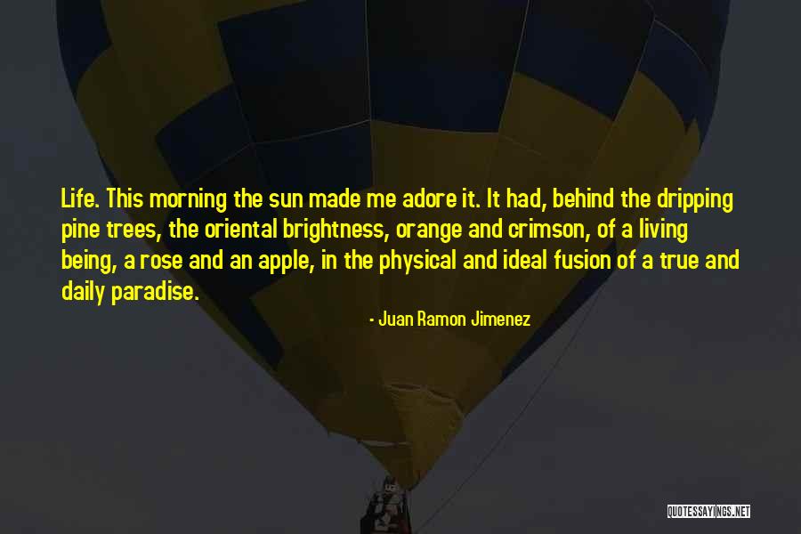 Trees And Sun Quotes By Juan Ramon Jimenez Trees And Sun Quotes By Juan Ramon Jimenez