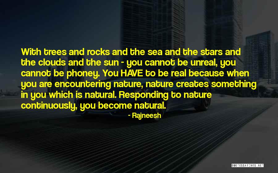 Trees And Sun Quotes By Rajneesh Trees And Sun Quotes By Rajneesh