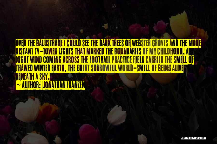 Trees And Winter Quotes By Jonathan Franzen