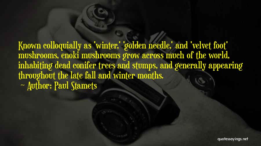 Trees And Winter Quotes By Paul Stamets