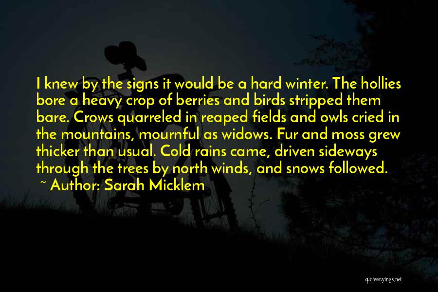 Trees And Winter Quotes By Sarah Micklem