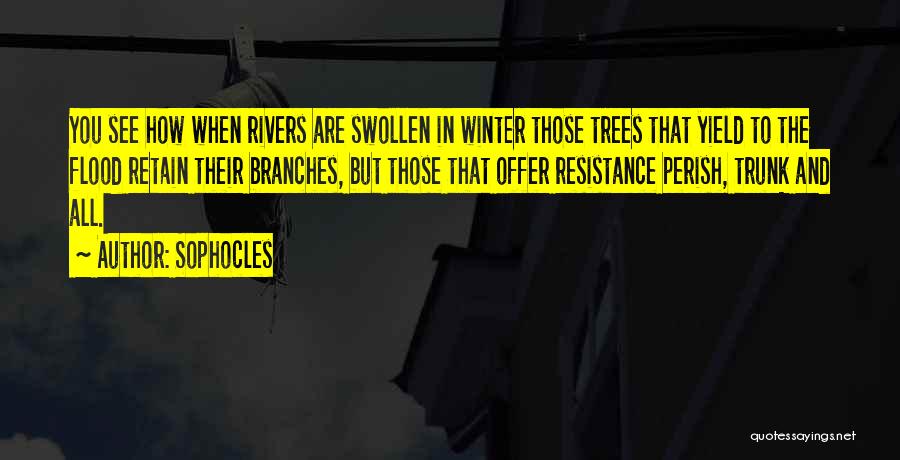 Trees And Winter Quotes By Sophocles