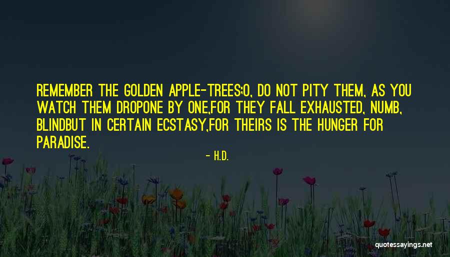 Trees In Fall Quotes By H.D. Trees In Fall Quotes By H.D.