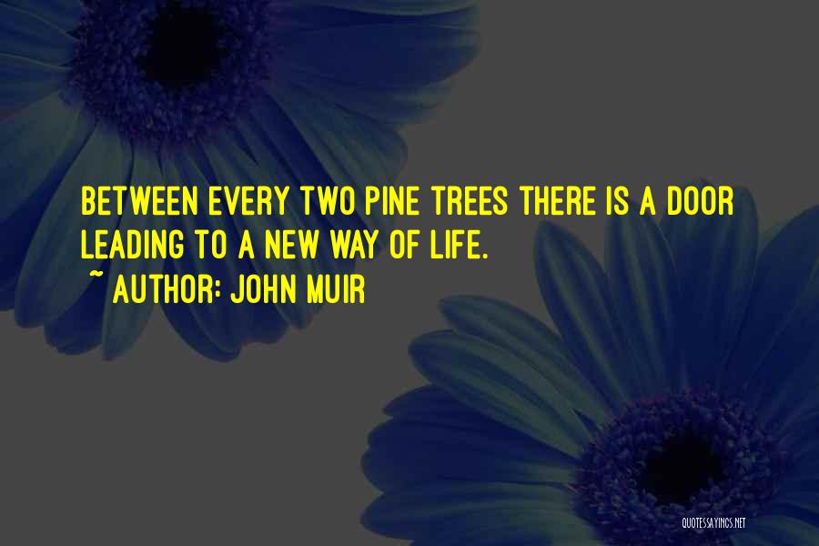 Trees John Muir Quotes By John Muir